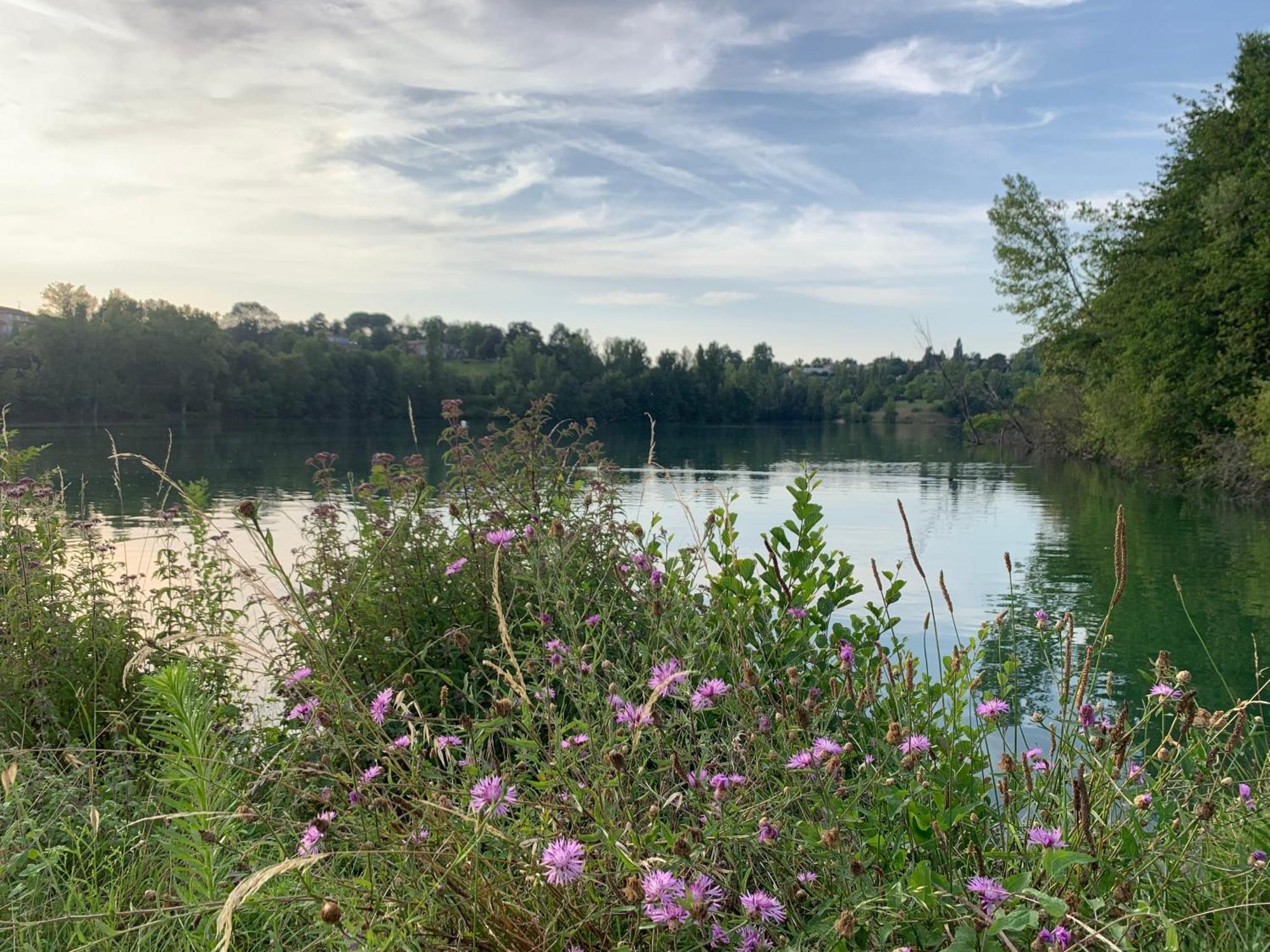 Terres De France - Les Hameaux Des Lacs Monclar-de-Quercy Kültér fotó